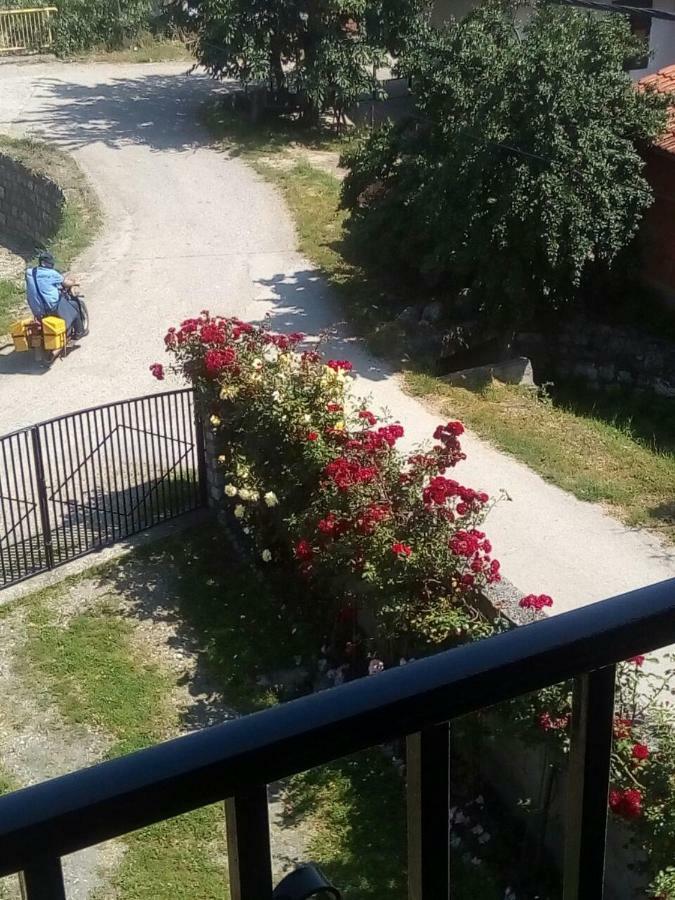 Hotel Sobe Seka Golubac Exteriér fotografie