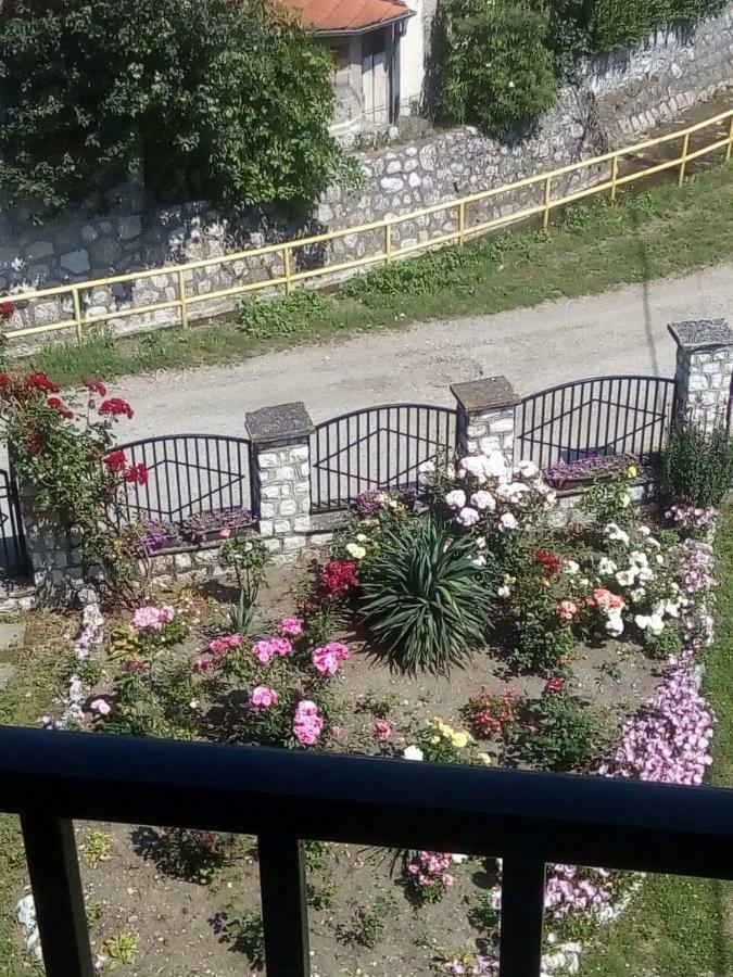 Hotel Sobe Seka Golubac Exteriér fotografie